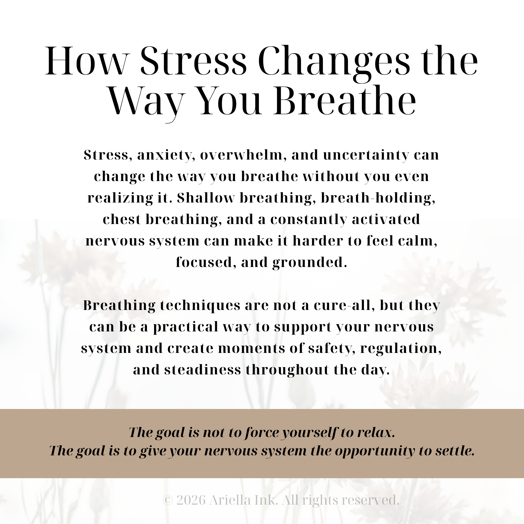 Breathing Techniques for Nervous System Regulation